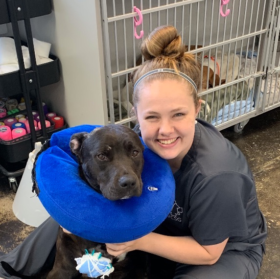 This weeks #SNUGoingtoGradSchool feature is Marissa Lewis:
Texas A&amp;M University for veterinary medicine​

 " I'm ready to be able to help animals and their owners in every way that I can.​"

#snu1899 #snualumni