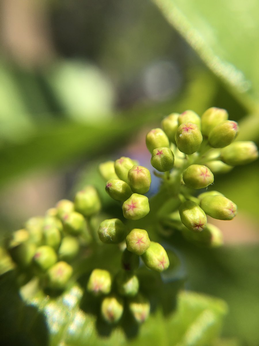 It’s the little things in life that matter!!