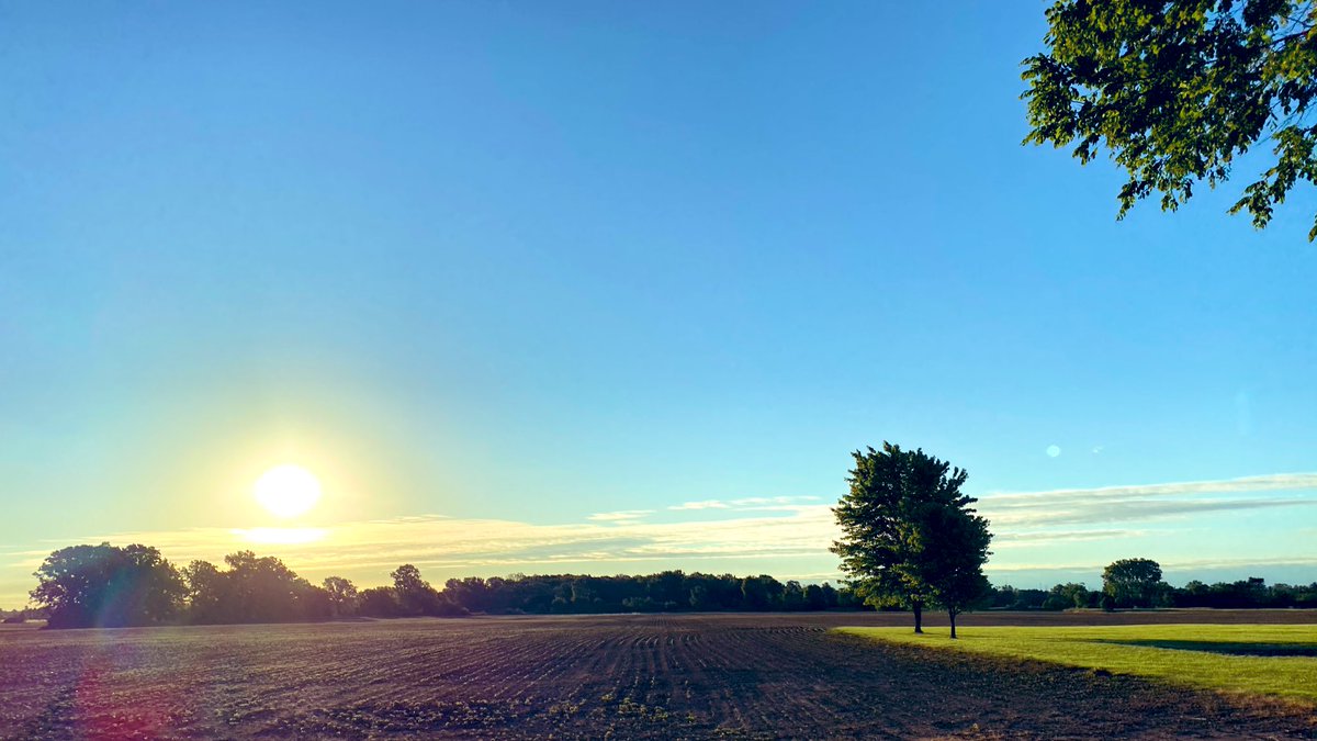 ひろさん 英語ダメで訴訟された10年前 朝の写真は通勤の田舎道です 冬は朝8時頃まで暗いので今の期間限定です