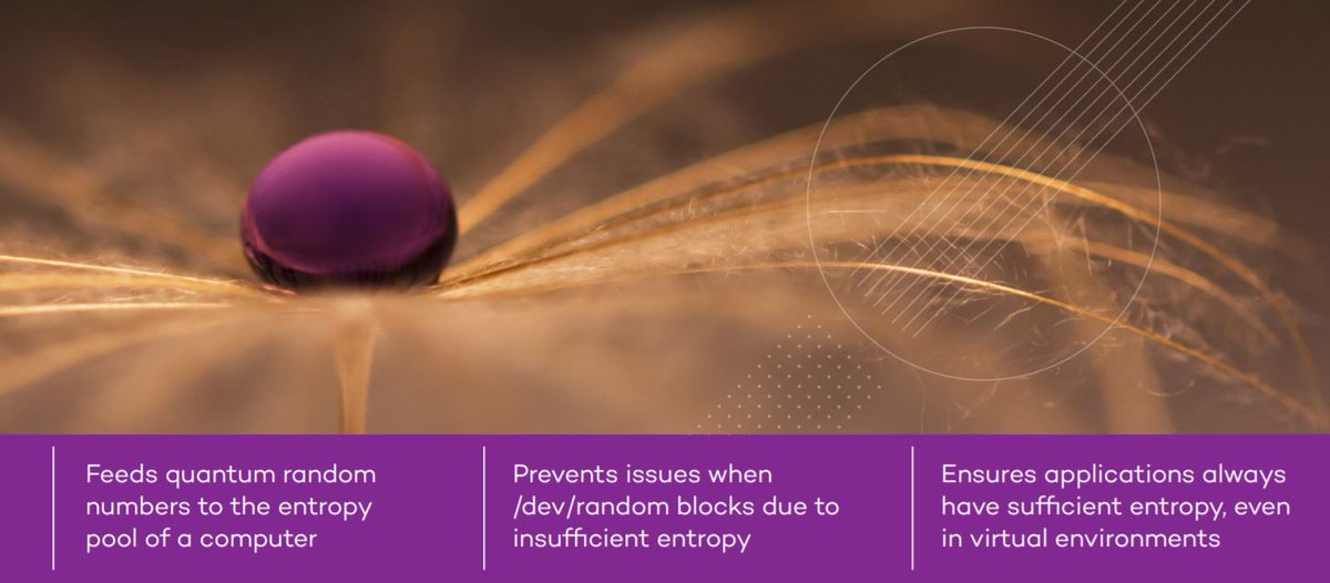 QuintessenceLab's tweet image. Are you entropy starved? Is your virtual network facing entropy-related performance and security issues? Our qRand entropy enhancer feeds it with quantum random numbers,  solving the issue once and for all. #quantumentropy hubs.ly/H0rqzRJ0