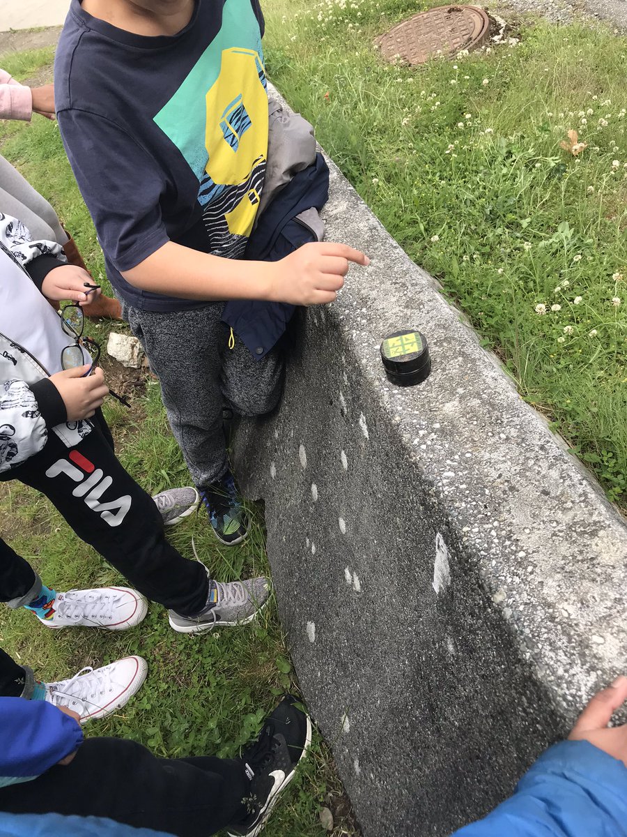 MsZmukic's tweet photo. Joined up with @msdsue and @antoniodjohnson today. We completed our first successful GeoCash! We put in a small green crocodile toy and took a mysterious blue and white item, furthur info on said object to be determined. #outdoorexcursion https://t.co/RL70oaObya