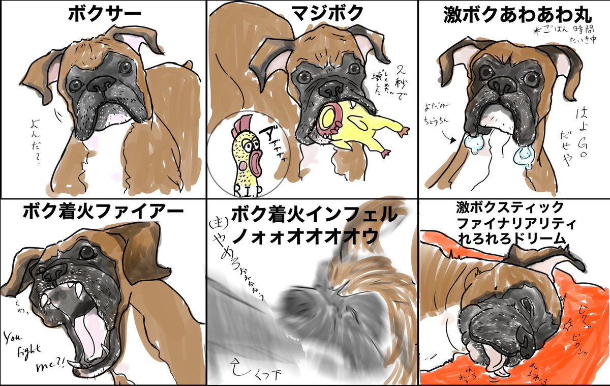 Twoucan 親バカならぬ犬バカ の注目ツイート イラスト マンガ コスプレ モデル