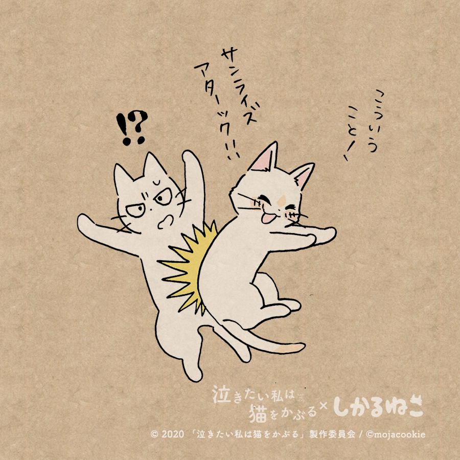 ちょっと強引にアタックしちゃう太郎としかるねこ
#泣きたい私は猫をかぶる #泣き猫 #PR 