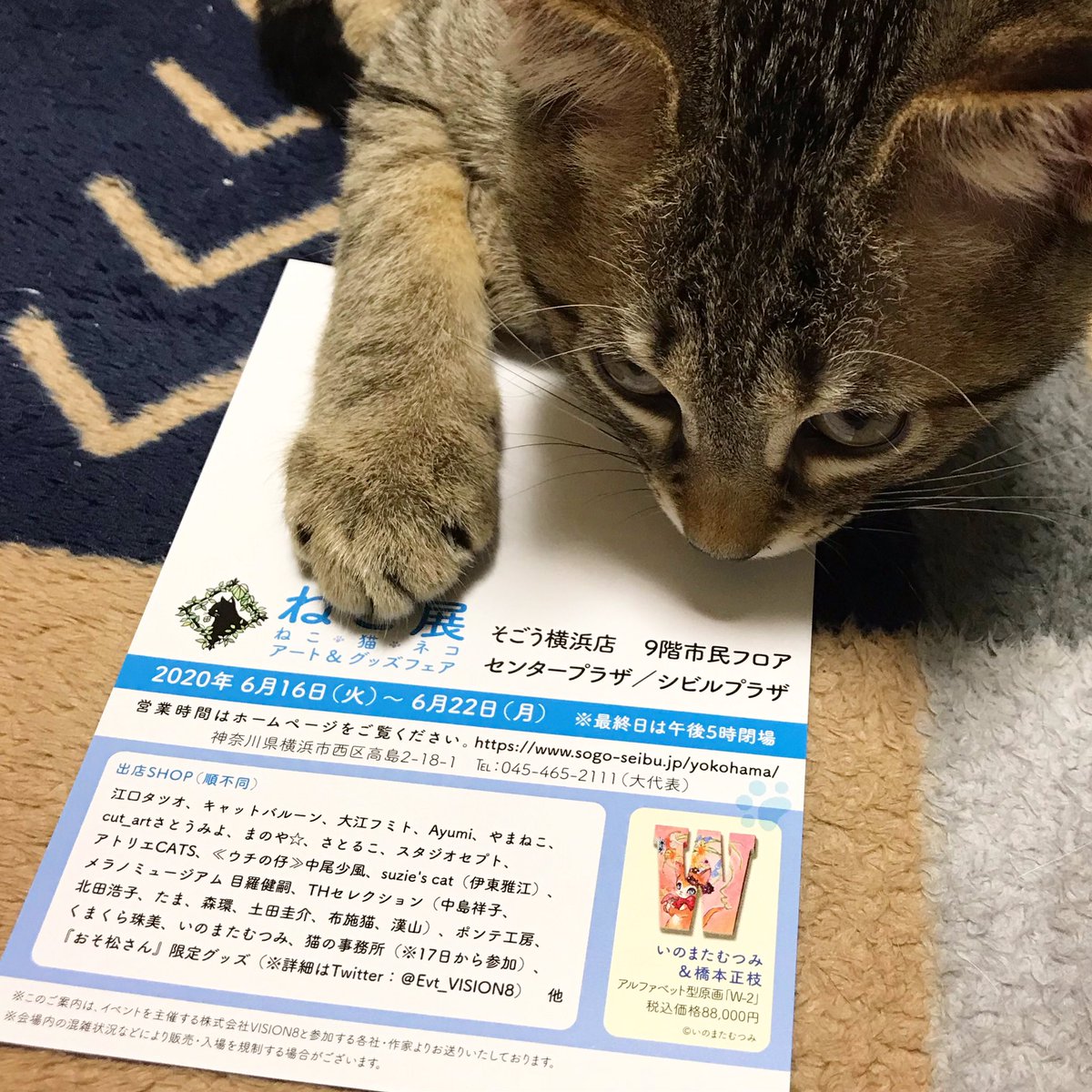 さとるこ お知らせします と言いながら作業とちびっ子達に追われて週末に W 来週16日から そごう横浜店の9階 ねこ展 に参加します まだまだ気軽にお越し下さいと言える状況ではありませんが お近くにお越しの際はよろしくお願いします