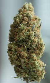 BitzSheldom's tweet photo. 私たちは最高品質の大麻、ジアゼパム、ほとんど、lsd、xanax、モリー、サイケデリックを手に入れました...詳細については、Dm me、hoffman420 https://t.co/muWPkzo5JR