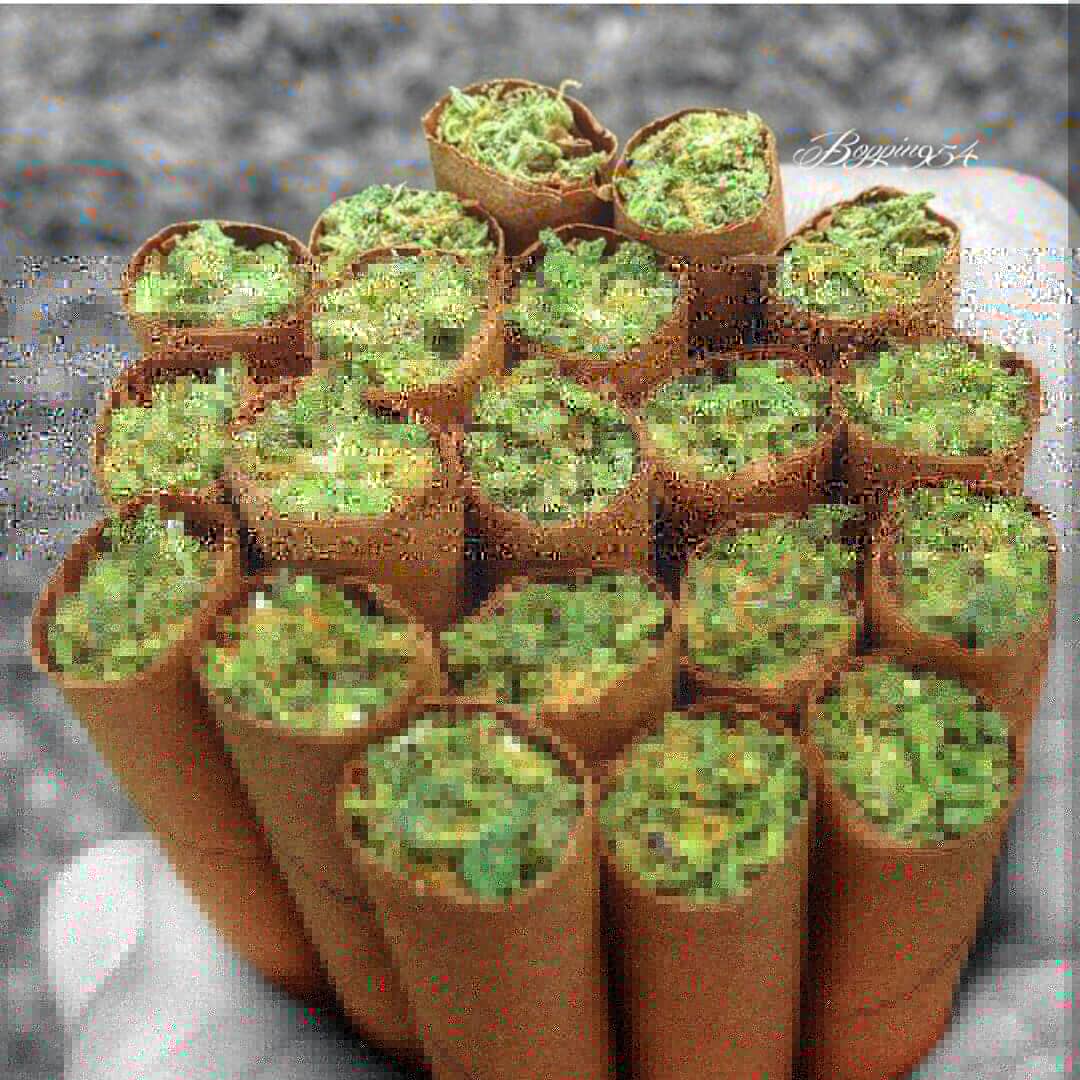 BitzSheldom's tweet photo. 私たちは最高品質の大麻、ジアゼパム、ほとんど、lsd、xanax、モリー、サイケデリックを手に入れました...詳細については、Dm me、hoffman420 https://t.co/muWPkzo5JR