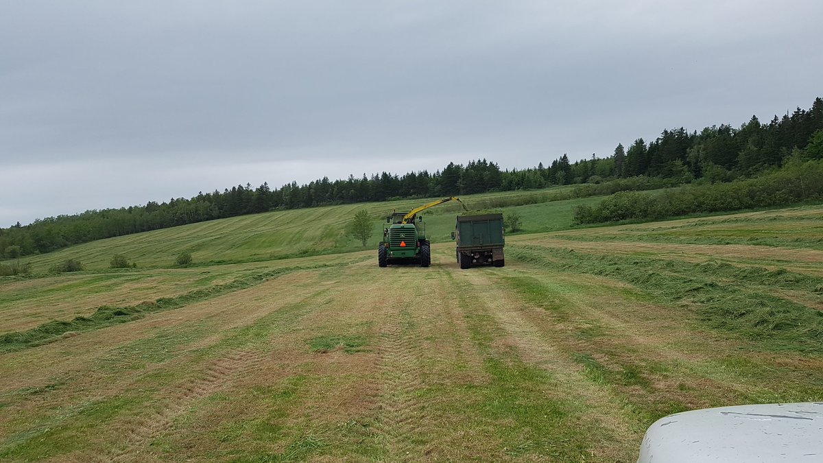 First cut underway