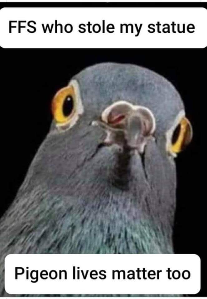 Ben Harber tweet media