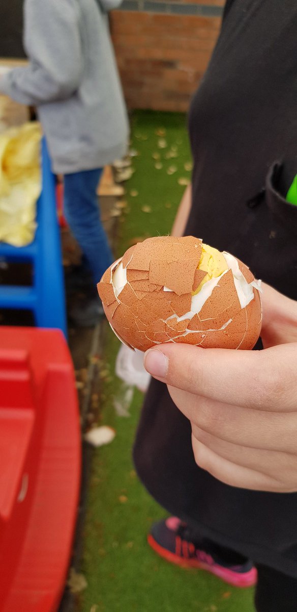 Endeavour class (@endeavourclass) on Twitter photo One astro-egg survived, the others cracked under pressure <a href="/normanbyspital/">Normanby By Spital</a> #gravity #welovescience One astro-egg survived, the others cracked under pressure <a href="/normanbyspital/">Normanby By Spital</a> #gravity #welovescience