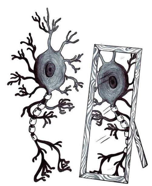 tipspaestudiar's tweet photo. En una historia de ficción, la lectora siente lo que el protagonista siente. Son las neuronas espejo, las que se activan con las acciones y sentimientos observados en otros. Una buena historia es cerebral para el escritor y visceral para la lectora. ¡Emociones fuertes! https://t.co/HYxRQ30y4B