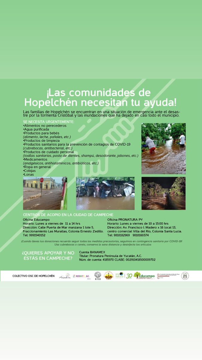 Comparte Una Ola A.C tweet media