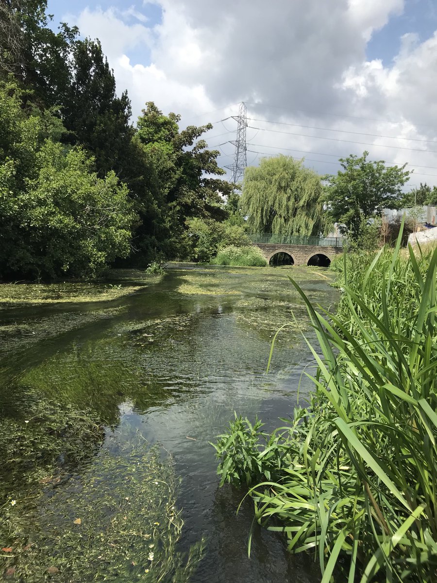 RifflePool's tweet image. The Wandle above Goats Bridge today. Plenty of water and abundance of good weed growth. Fish not showing but lovely few hours by and in the river