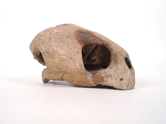 Grand Rapids Retro tweet media