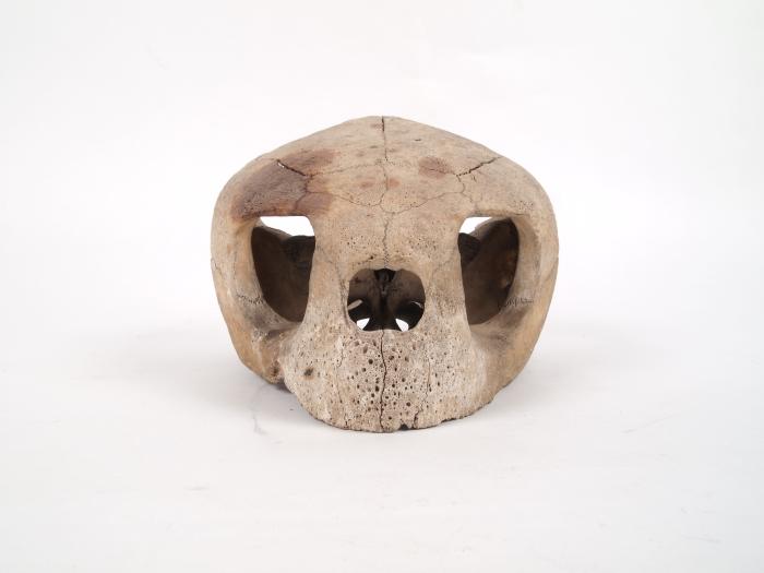 Grand Rapids Retro tweet media