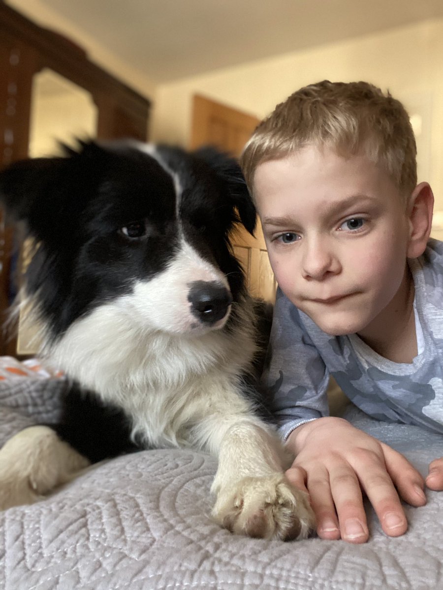 ItsSewSimple's tweet photo. These pictures illustrate how relationships have grown in #lockdown. #PictureOfTheDay #momentsinlockdow #family #fatherandson #pets https://t.co/9DYvKnPfg2