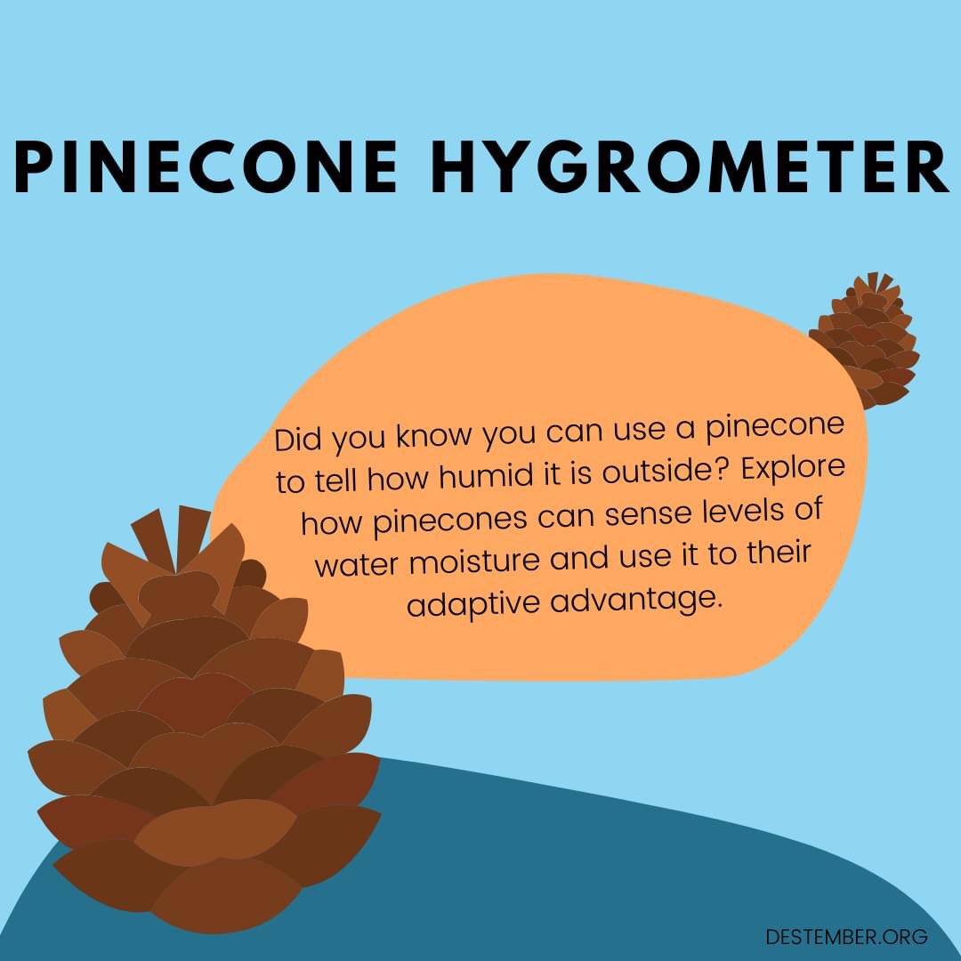 girlstart's tweet photo. It's time for today's daily #STEM activity! Explore how pinecones can sense levels of water moisture and use it to their adaptive advantage in this #STEMatHome activity! Find instructions here: https://t.co/uRvC6nK4ur

#StayHome #Girlstart #STEMforGirls https://t.co/edfSsZRbeN