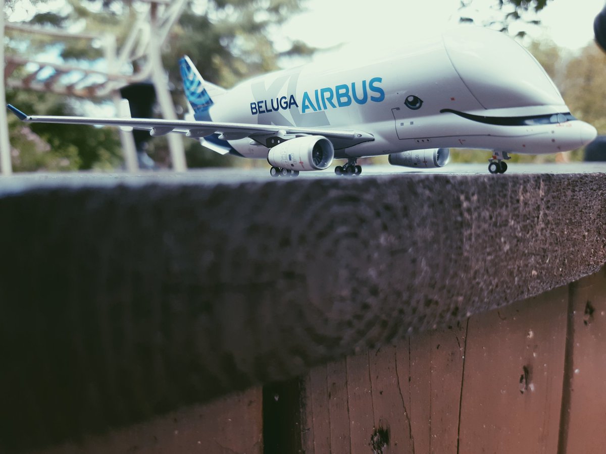 LakeModels's tweet image. BelugaXl family. @ngmodel_global
@Airbus. #ngmodels #1400scale #belugaxl
