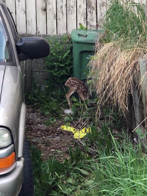 The Thankful Outdoorsman tweet media