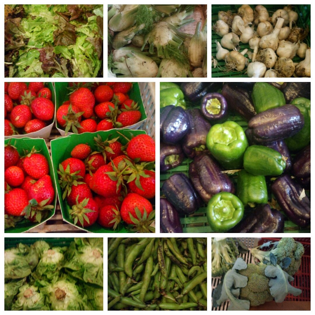 AmapRonceray's tweet photo. Le panier de légumes bios, frais, de saison et de proximité de cette semaine : mesclun, fenouil, ail, fraises, poivrons, salade, fèves et brocolis.
Ça vous fait envie? Rejoignez-nous, ils nous reste quelques places 😎 https://t.co/vO1Z72lvAN