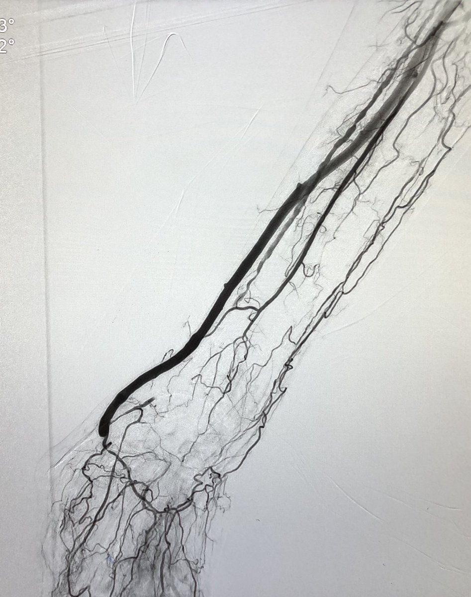 Dan Fremed tweet media