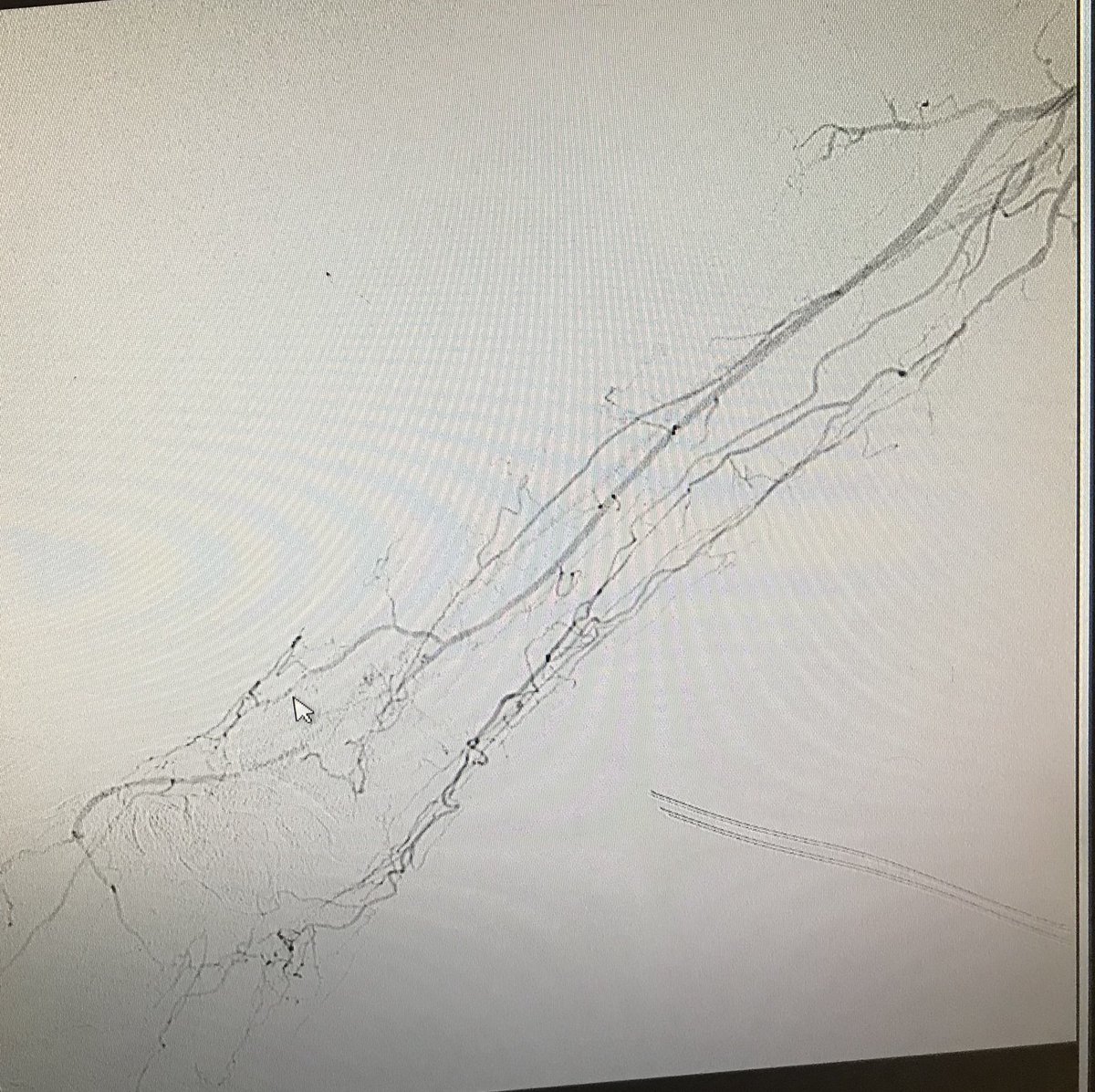 Dan Fremed tweet media