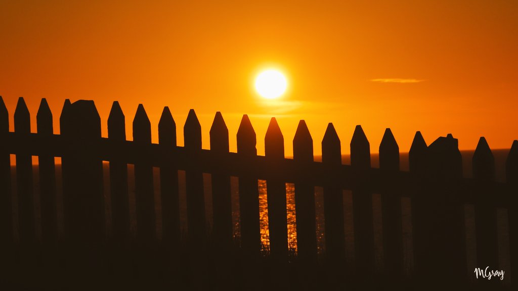 GrayMarker99's tweet photo. I was on the fence deciding whether or not I would share this photo from last evening. But then I thought, 'maybe it might brighten someone's day.' 
So here it is. 
#nlwx #ShareYourWeather #bonavista https://t.co/mulXgIkra4