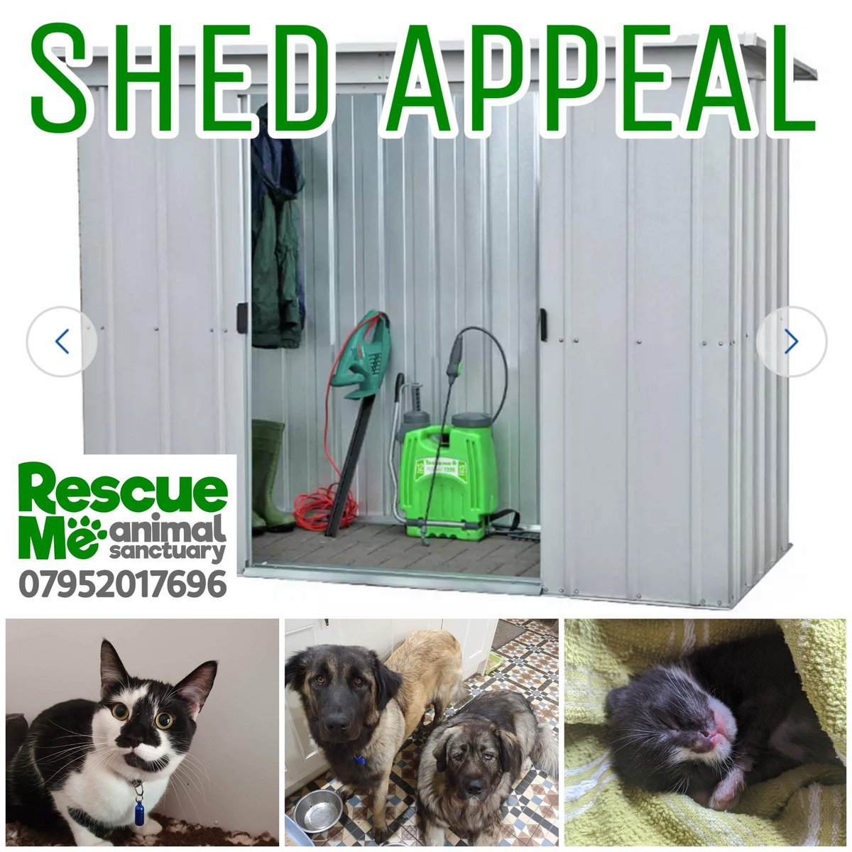 rescuemeanimal's tweet photo. Very random but important appeal!!! We desperately need metal sheds to safely store our food &amp; supplies safely away from little mouths 🐀  https://t.co/yHpLUyLg9W Please if you can donate to the shed appeal click on the link #ThursdayThoughts #ThankfulThursday https://t.co/bG1jWHZFY6