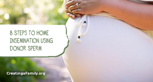 CreatingaFamily's tweet photo. Our friends at @Cryos_Int wrote this step-by-step guide to home insemination. The goal is to help #infertility patients decide if home insemination with donor sperm is an option to pursue their family-building dreams: https://t.co/eUo5G2w0L7 #homeinsemination #donorsperm #IVF https://t.co/f5yyyw77U2