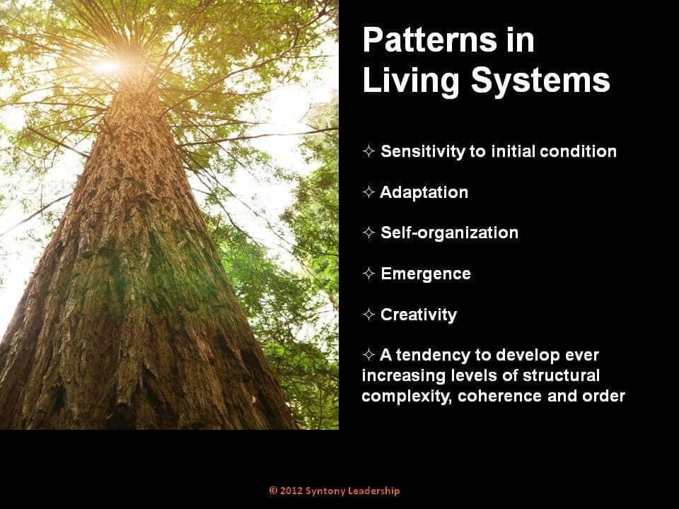 sarahsynergie's tweet photo. Art Meets Science & Spirituality in a Changing Economy (Ilya Prigogine, ... https://t.co/EHnwDXhOJZ via @YouTube #AllNatureIsHarmony #WeAreTheMystery #SarahVerwei #SyntonyConversations #openness #autopoietic #autopoiesis #softtechnologies #LifeIsAQuest #AllIsInformation @RTL4 https://t.co/a0NMTFbwim