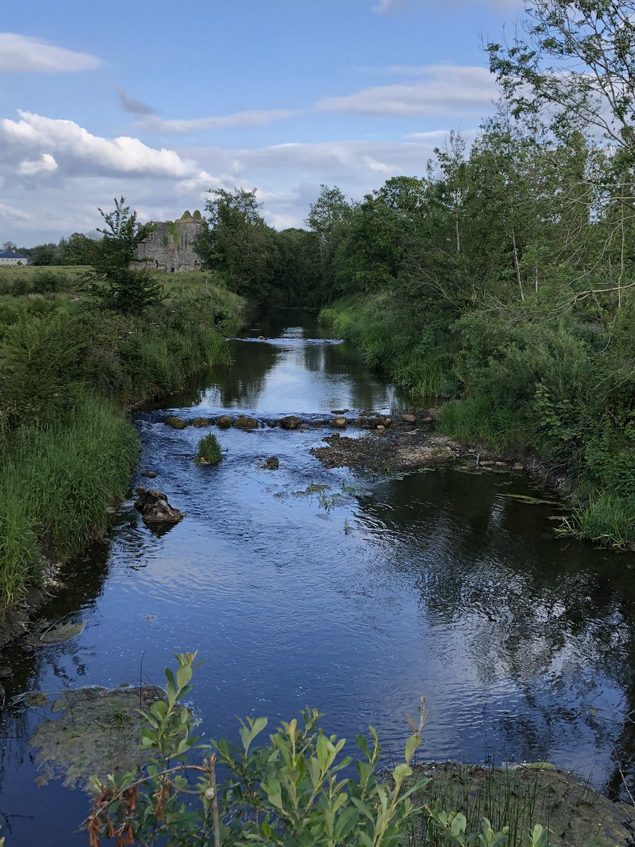 FlatleyMichelle's tweet photo. Nature in full bloom for our evening walk💚  #100kin30days #breastcancerawareness #summerstrolls #mayo https://t.co/hgcSe8GnjA