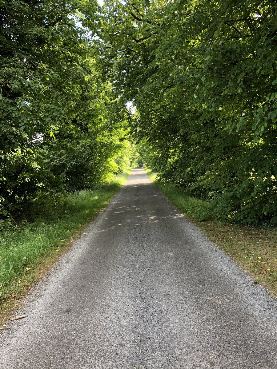 FlatleyMichelle's tweet photo. Nature in full bloom for our evening walk💚  #100kin30days #breastcancerawareness #summerstrolls #mayo https://t.co/hgcSe8GnjA