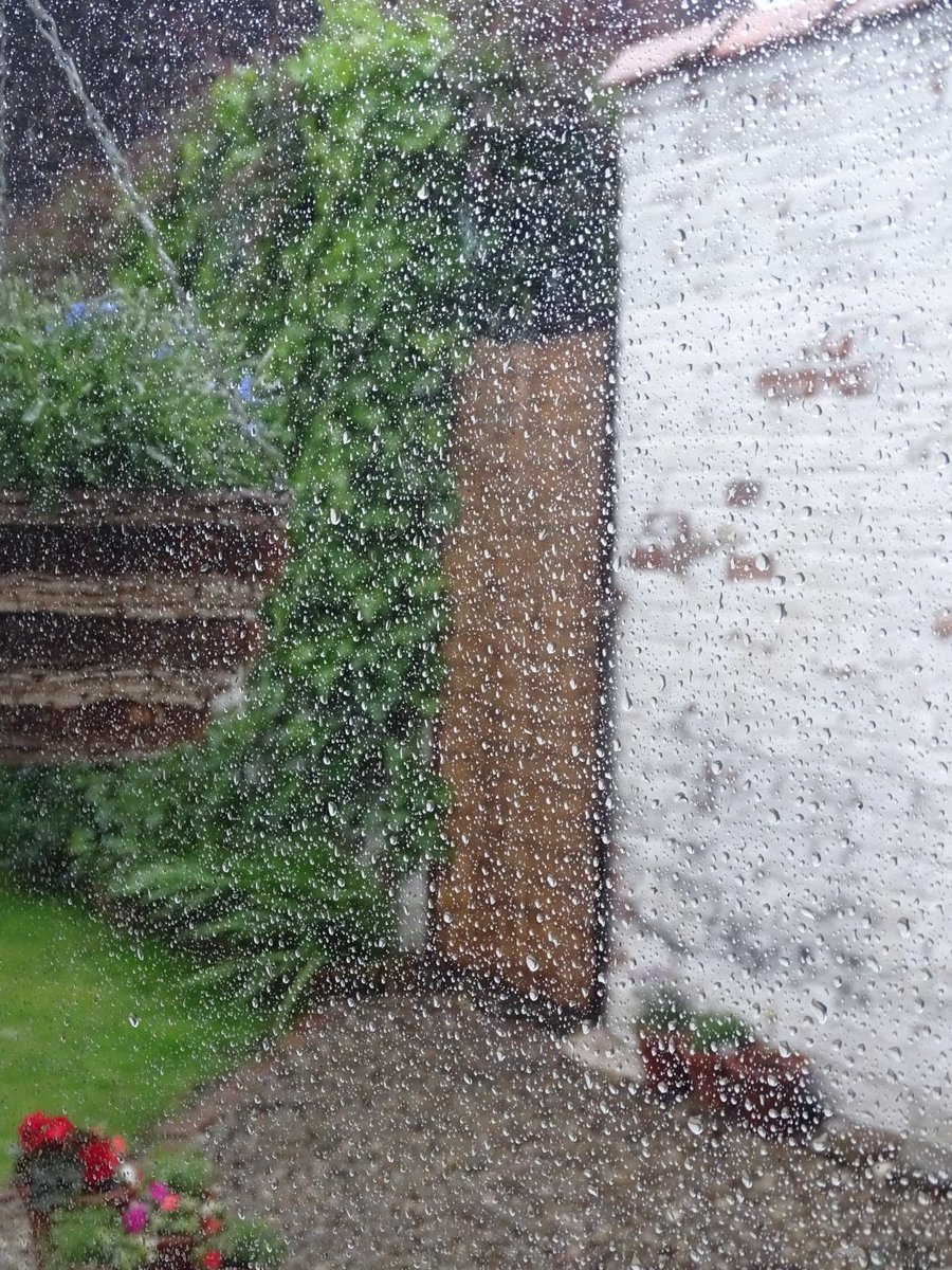 This sums up today 🌧️🌧️🌧️ #rain #rainyday #today #wheresthesun #mygarden #weather #june #yorkshirewolds #eastyorkshire #eastridingofyorkshire #wheresmybrolly
