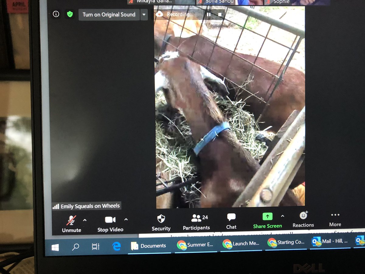 Afrospan's tweet photo. Two field trips in one week,some might say that I’m not working. I enjoyed seeing the students having an authentic learning experience. Thx, @TurtleTownAES for letting me come to watch Squeals on Wheels with your class. https://t.co/sLQnOVlScb