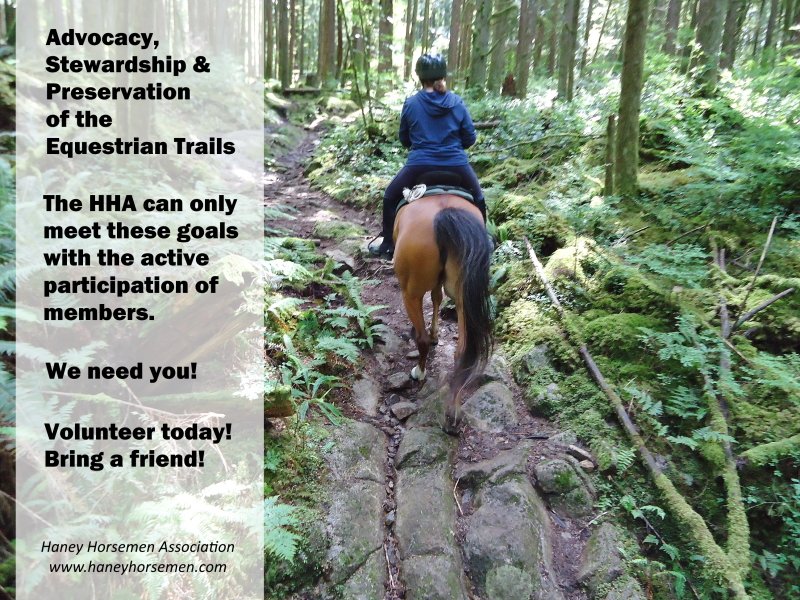 Join the HHA in its goal to protect, maintain &amp; enhance the Maple Ridge #horse trail network. Meet other equestrians who love being outdoors on trails, enjoying nature with their #horses. #HorseTrailCapital <a href="/YourMapleRidge/">City of Maple Ridge</a>
haneyhorsemen.com/together-we-ca…