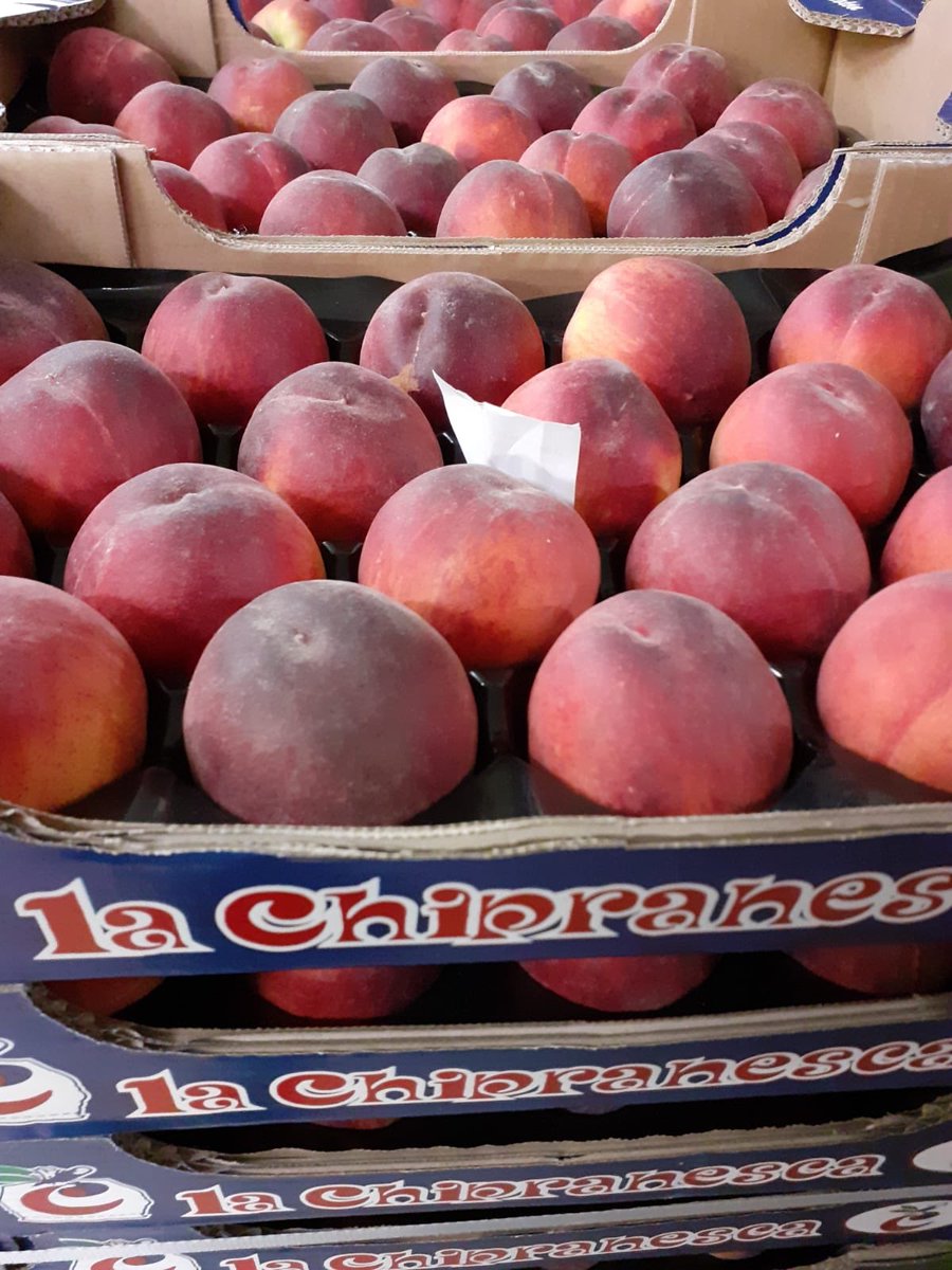 TatwsTrading's tweet image. Not long finished work fed &amp;amp; watered doing lists for morning can’t wait to go back in the morning got some amazing produce arrived this afternoon &amp;amp; early in morning ready for you all