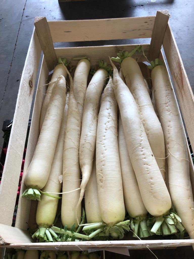 TatwsTrading's tweet image. Not long finished work fed &amp;amp; watered doing lists for morning can’t wait to go back in the morning got some amazing produce arrived this afternoon &amp;amp; early in morning ready for you all