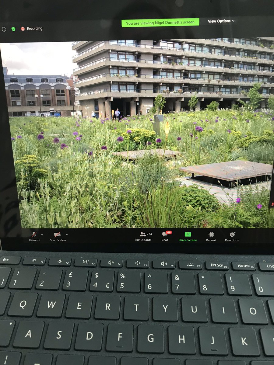 Inspiring presentation from @NigelDunnett @ArchCentre The New Normal : Grey to Green - green recovery a new normal for us to thrive, nature and people together essential, immersive landscapes for wellbeing #greytogreen #landscapearchitect