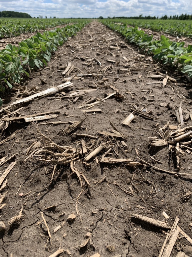 Amazing weed control in this April planted soybean field thanks to #ZiduaSC @BASFAgSolutions #ontag #plant20 #farm365