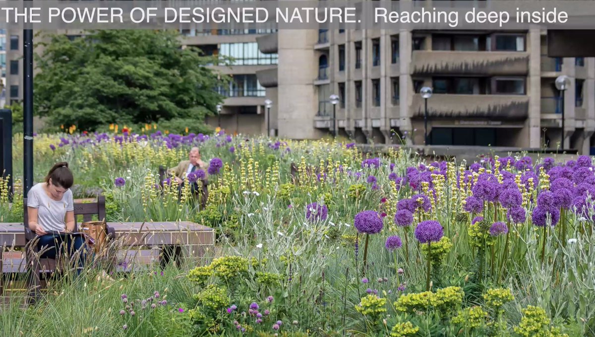 Inspirational talk by @NigelDunnett @ArchCentre this evening - much to learn, green recovery, immersive landscape, #greytogreen - will share asap @bwayeast @GFNChester @sam_ryley @weezegee