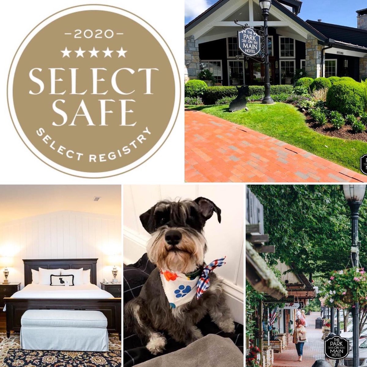 theparkonmain's tweet photo. #SelectRegistry, thank you for presenting us with the Select Safe, Stay Select badge of approval! The safety and health of our guests, their pups, and our staff are of the utmost importance! 🧡 https://t.co/L7EK2qf5Ma