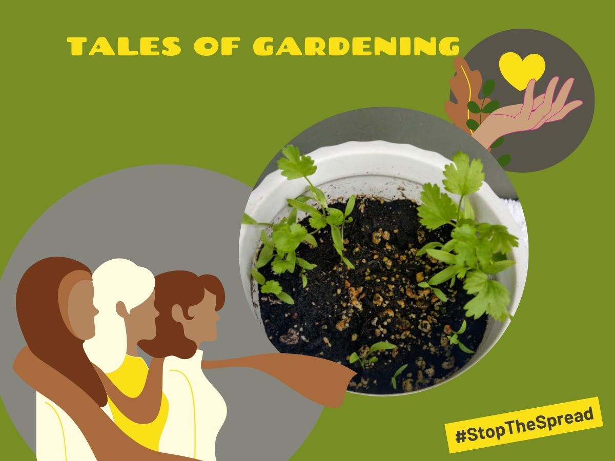 6/1/2020
This week's gardening has been great! As I see the cilantro grow it gives me hope for my future goals. I love being on the balcony and witnessing the beauty of gardening. I will forever be grateful for all the encouragement I received to keep going.
Love, Yazz