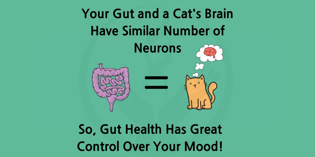 You have a second #brain in your #gut 
This means that your #guthealth
plays a big role in your #mentalhealth 
That the presence of specific strains of bacteria in your #microbiome can reduce your susceptibility to #depression read more in this paper: nature.com/articles/s4156…