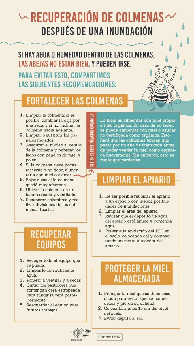 MAOGMcolectivo's tweet photo. Excelente guía para recuperar colmenas después de la inundación 👍🏽 https://t.co/qWhOBq8kqp