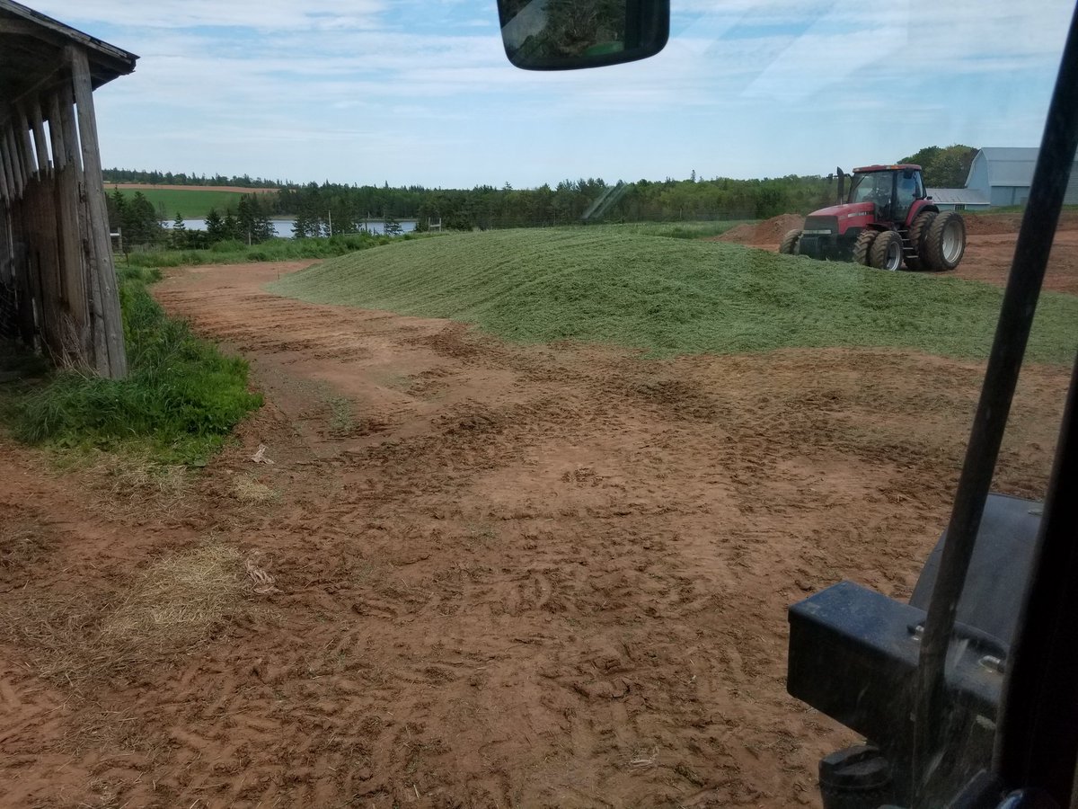 Nice crop of forage for first cutting #firstcut2020