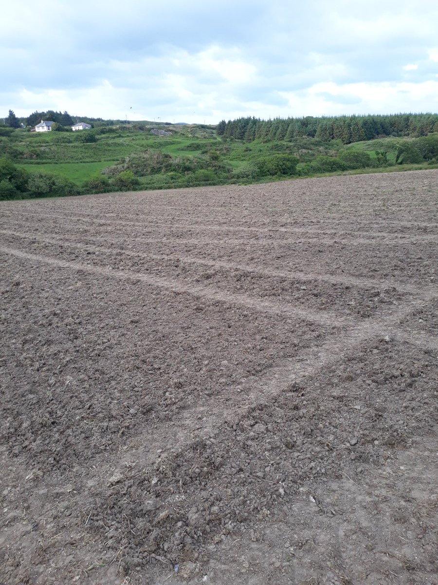2pintpaddy's tweet photo. Finally reseeded 3 acres today , had to hold tough with ground conditions so dry but looks like we will get a good bit of rain at the weekend. #Reseeding2020 #Abergain https://t.co/BSsM60amo8