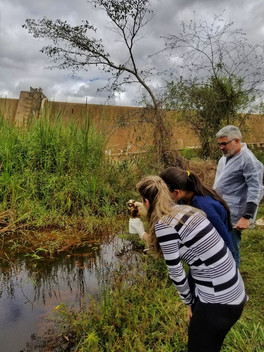 laficouefs's tweet photo. Coleta de microalgas em Piatã, sul da Chapada Diamantina, Bahia (2017)

#algae #biodiversity #limnology #botany #phycology #phytoplankton #metaphyton #periphyton #fieldtrip #taxonomy #chapadadiamantina #river #waterfall #pond #bahia #brazil
https://t.co/qGStpvXBru https://t.co/mCvNDh8ugf