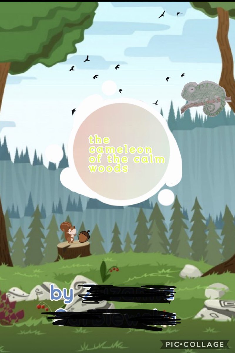 Kelly Chisholm tweet media