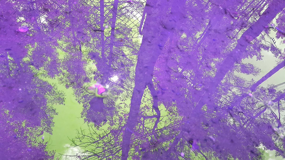 Bartosz Gott tweet media