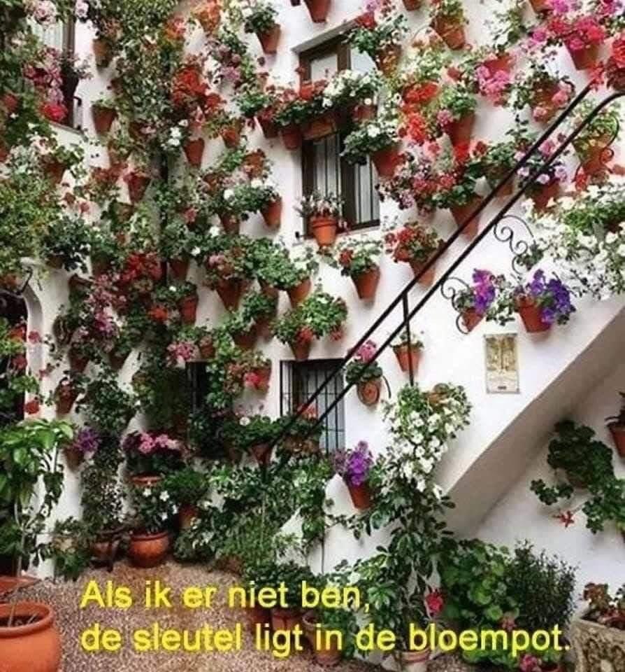 Bea Dejonge tweet media