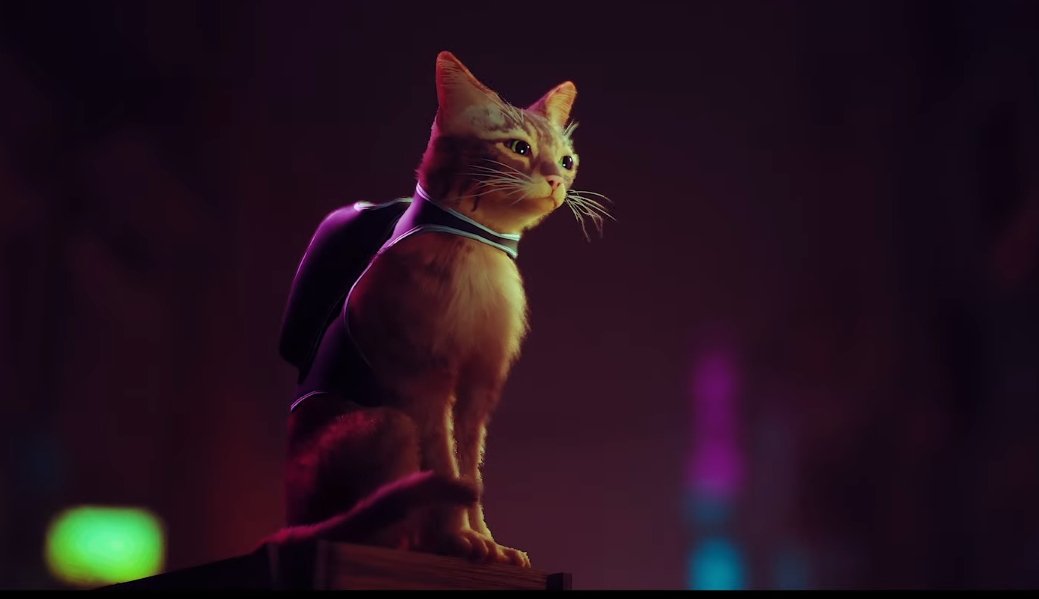 Shut up and take my money 💸💸💸 #PlayStation5 #stray